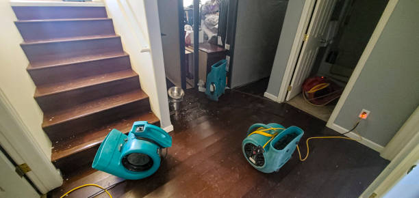 Trusted Harvey, MI Water damage restoration Experts