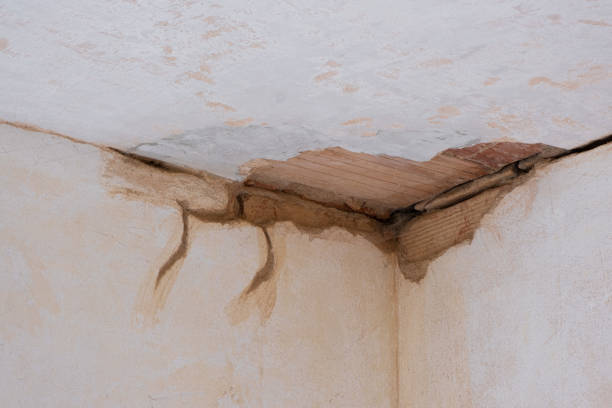 Best Emergency water damage restoration  in Harvey, MI