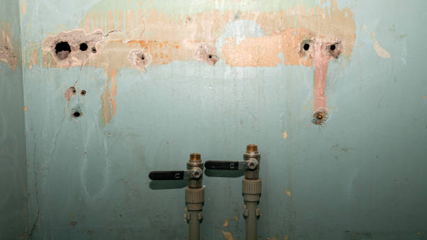 Best Commercial water damage restoration  in Harvey, MI