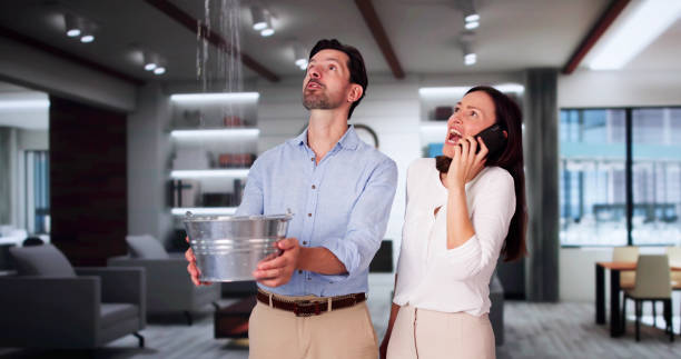 Best Water damage restoration company  in Harvey, MI